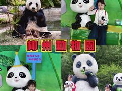 -柳州市动物园