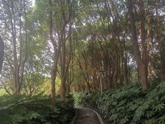 -美兰湖景区