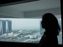 -新加坡泛太平洋酒店