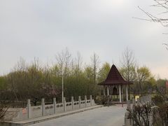 -第五季龙水凤港生态露营农场