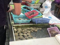 -十四涌水产中心
