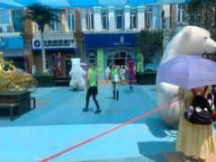 -芜湖新华联大白鲸海洋公园