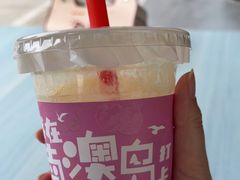 -南澳岛打卡果汁冰公司
