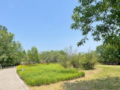 -白塘生态植物园