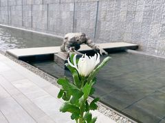 -侵华日军南京大屠杀遇难同胞纪念馆-停车场