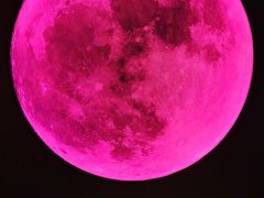 -梵高星空艺术馆(北京旗舰店)