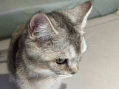 -平行世界·猫咖(首经贸店)