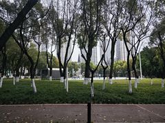 -重庆市江北嘴中央商务区中央公园