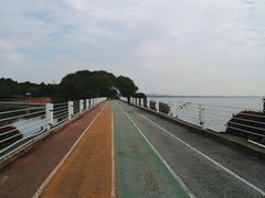 -贡湖湾湿地公园