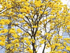 -龙湖重庆时代天街