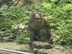 -黔灵山公园