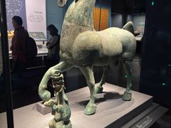 -广西壮族自治区博物馆