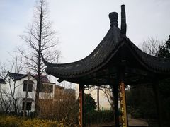 -石塘人家
