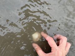 -启东黄金海滩景区