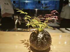 -秋荀日本料理(昆明同德广场店)