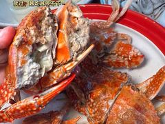 -坛南湾阿强农家乐.海鲜大排档老字号(福州地标美食店)