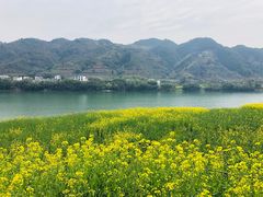 -新安江山水画廊风景区