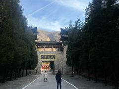 -藏山旅游风景区