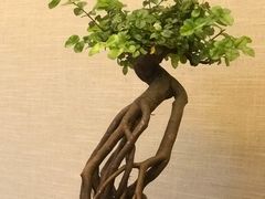 -王府茶宴(大观园总店)