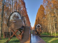 -黄海国家森林公园