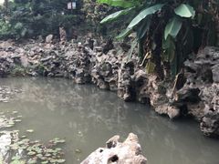 -伯先公园