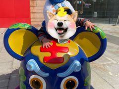 -证大大拇指广场(芳甸路店)