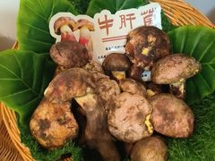 -福照楼汽锅鸡·云南菜(护国路店)
