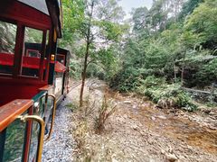 -九龙江国家森林公园