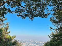 -惠山国家森林公园