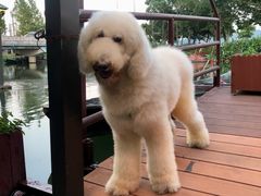 -晓琦农家菜馆·地道农家菜