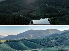 -龙坞茶村