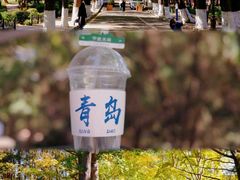 -八大关景区
