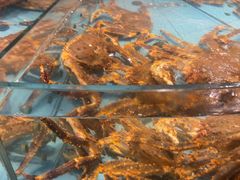 -渔傅·霞浦滩涂海鲜(建平店)