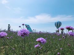 -渔岛海洋度假区