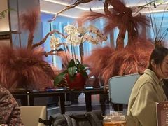 -南海渔村(珠江新城店)