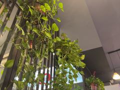 -怪怪龙虾·来自江苏盱眙(惊驾路店)