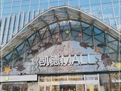 -凯德MALL(望京店)