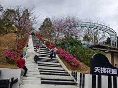 -盈香心动乐园