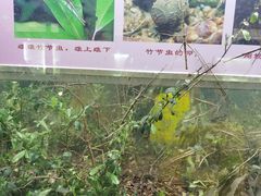 -上海昆虫博物馆