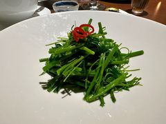 -觀芷隐轩