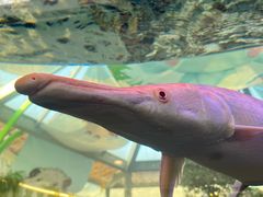 -宁波儿童公园(鄞州区)