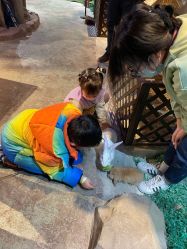 -酷嗒动物文化乐园(cutezoo西溪乐天城店)