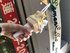 -柠檬车露(卖草地店)