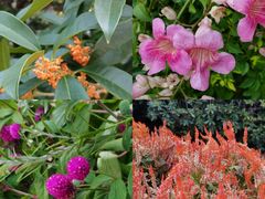 -证大大拇指广场(芳甸路店)