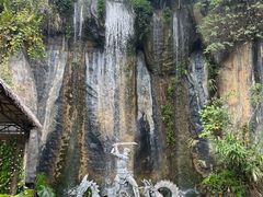 -西双版纳原始森林公园