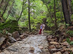 -素山寺森林公园