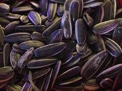 -好久不见网红乐队酒吧(鼓浪屿海底世界店)