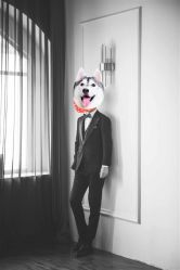 -THE QUEEN(北京店)