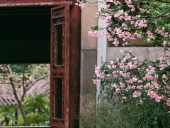 -留园