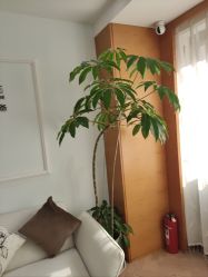 -HEYAN荷妍专业脱毛连锁机构